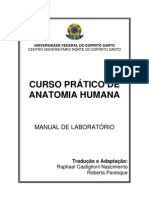 Anatomia Humana: Esqueleto Apendicular