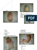 Gastrointestinal