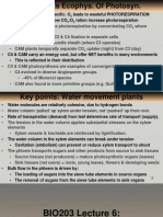 Lecture 6 Secondary Growth and Nitrogen