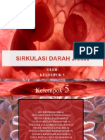 Sirkulasi Darah Janin