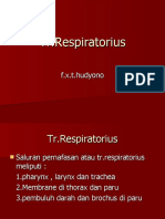 TR Respiratorius