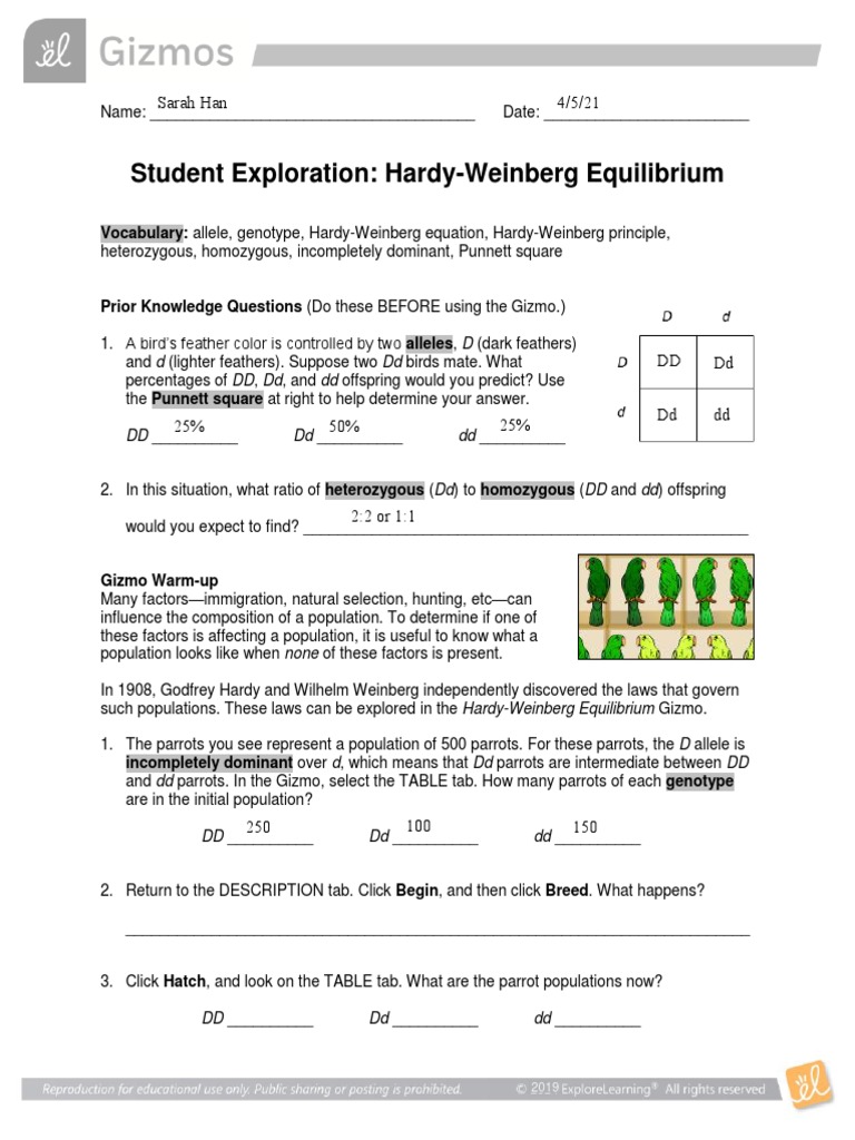 Kami Export - HardyWeinbergSE | PDF | Zygosity | Dominance (Genetics)