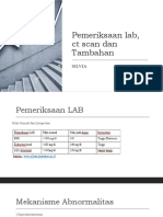 Pemeriksaan Lab, CT Scan Dan Tambahan