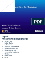 Petrel Fundamentals an Overview