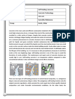 Concrete Technology Term Paper