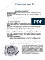 Domande e Risposte Anatomia