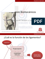 Sesion 6 Tendon Ligamento