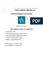 SEG University Ammonia Production Project