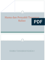 HP Tanaman Kakao