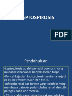 Leptospirosis Kuliah