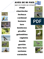 Las Aves de Mi País