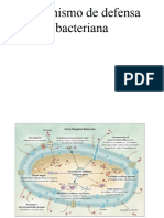 Mecanismo de Defensa Bacteriana