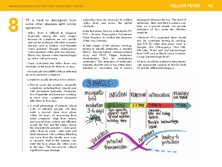 Understanding Yellow Fever Diagnosis | PDF | Yellow Fever | Infection