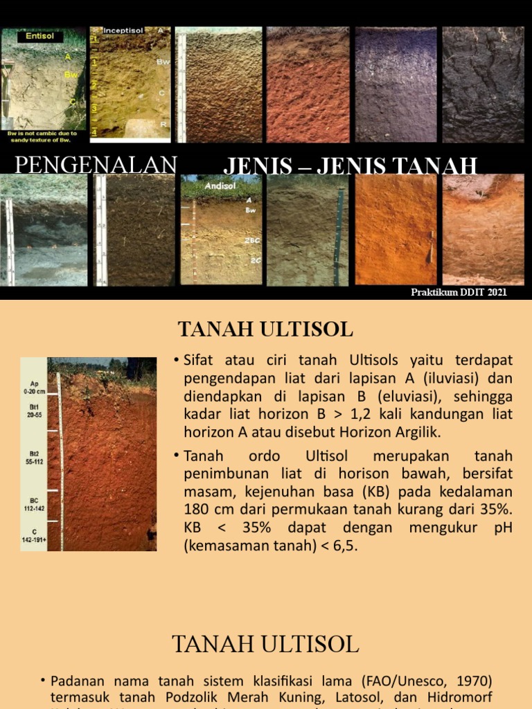 Karakteristik dan Pengelolaan Tanah Ultisol | PDF | Teknologi & Rekayasa