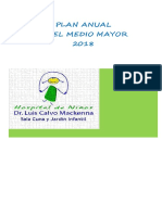 Plan Anual M. MAYOR 2018.docx PAO