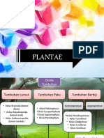 Presentation Biologi (Plantae)