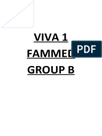 Viva 1 Fammed Group B