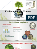 Presentaciòn Evolución de Las Plantas