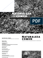 Naturaleza_comun_relatos_de_no_ficcion_de_excombatientes_para_la_reconciliacion_2021