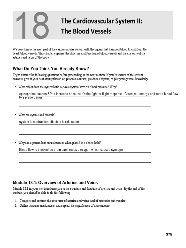 Ch 18 Blood Vessels Pdf