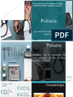 Poliuria: causas, diagnóstico y tratamiento