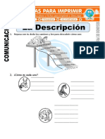 Ficha de La Descripcion Para Segundo de Primaria 1