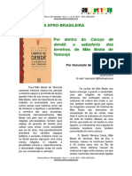 Literatura Afro Brasileira Por Dentro Do