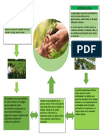 Revolución Verde y agroecología: alternativas agrícolas sostenibles
