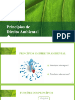 2021 - Aula 03 - Princípios de Direito Ambiental - 08 03 2021