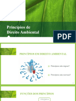 Princípios do Direito Ambiental Brasileiro