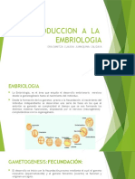 Introducción a la embriología