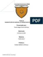 MATRIZ DE CONTENIDO DEL TEMA II SEGMENTACION DE MERCADOS-Paola García 20-MMRS-6-002