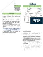 Primeira Semana de Desenvolvimento