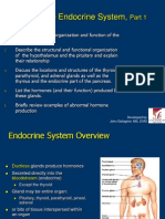 The Endocrine System,: Developed by John Gallagher, MS, DVM