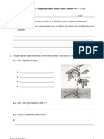 Importância Das Plantas para o Mundo Vivo - Ficha de CN - 6.º Ano