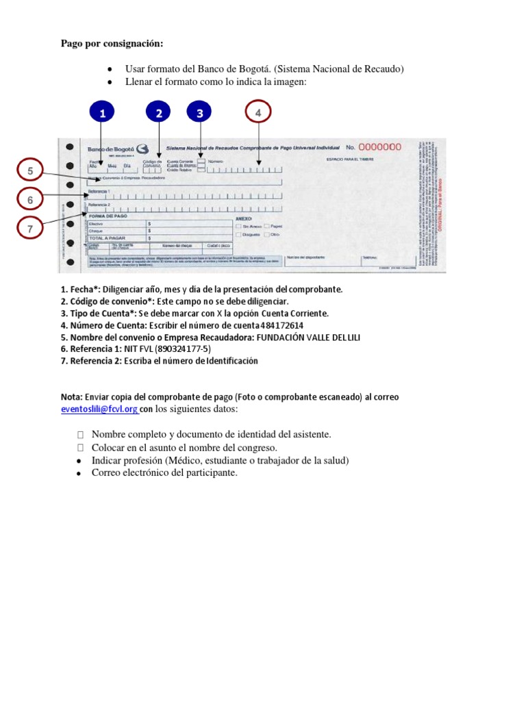 Instrucciones para Pago por Consignación | PDF | Negocios | Finanzas y ...