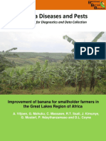 Banana Diseases and Pests: Field Guide For Diagnostics and Data Collection