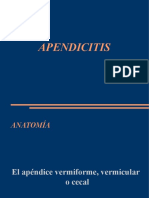 APENDICE