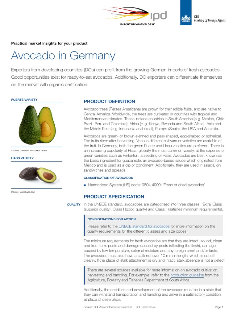 Avocado in Germany PDF Food Safety Avocado