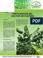 Fertilización Del Cultivo de Plátano