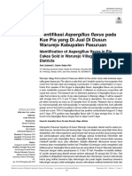 Identifikasi Aspergillus Flavus Pada Kue Pia Yang Di Jual Di Dusun Warurejo Kabupaten Pasuruan