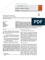 S05 - Pathology of The Kidney Allograft