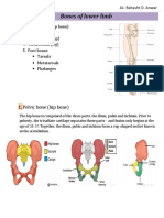 Bones of Lower Limb: 1. Pelvic Bone (Hip Bone)