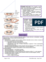 Organizacion Anatomofuncional