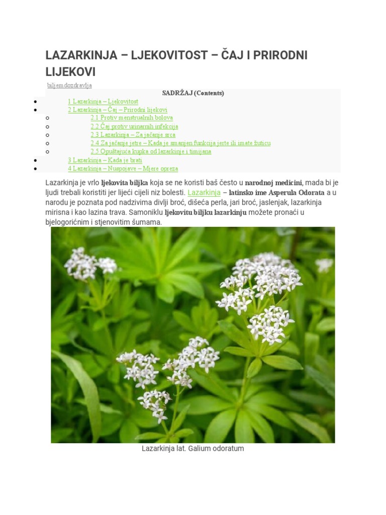 LAZARKINJA | PDF