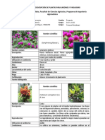 Catálogo Descriptivo de Plantas para Jardines
