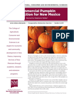 Commercial Pumpkin Production For New Mexico: College of Agricultural, Consumer and Environmental Sciences
