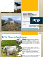Generalidades de las razas bovinas en Colombia
