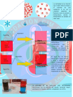 Densidad y temperatura del agua