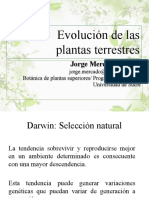 Evolución plantas terrestres Darwin adaptación